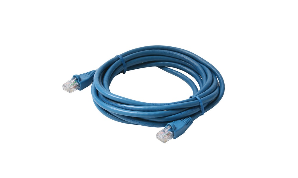 Steren 12ft Cat6 UTP Molded Standard Network Cable Blue