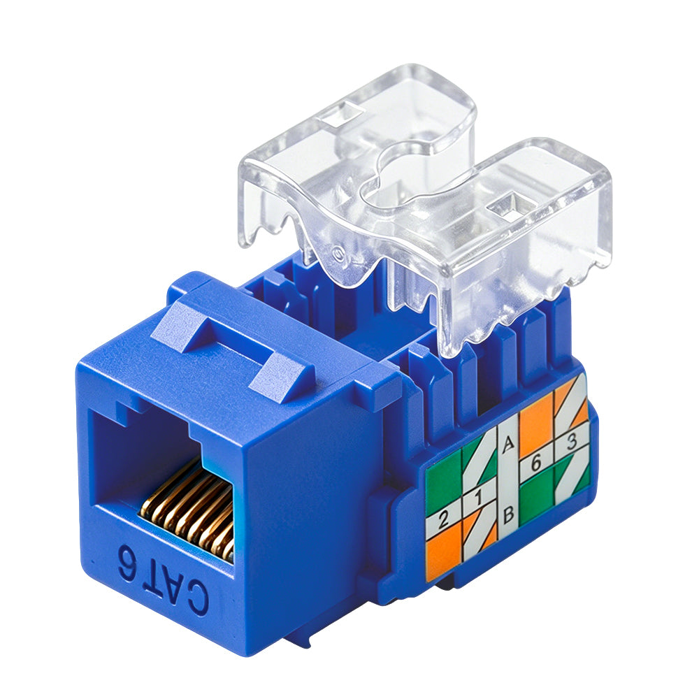 Steren Cat6 Keystone Jack 90 Degree RJ45 Blue